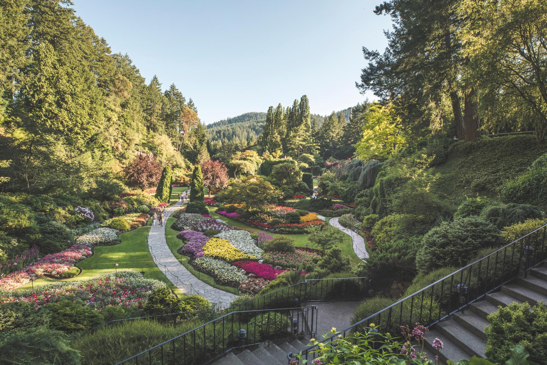 Butchart Gardens Summer