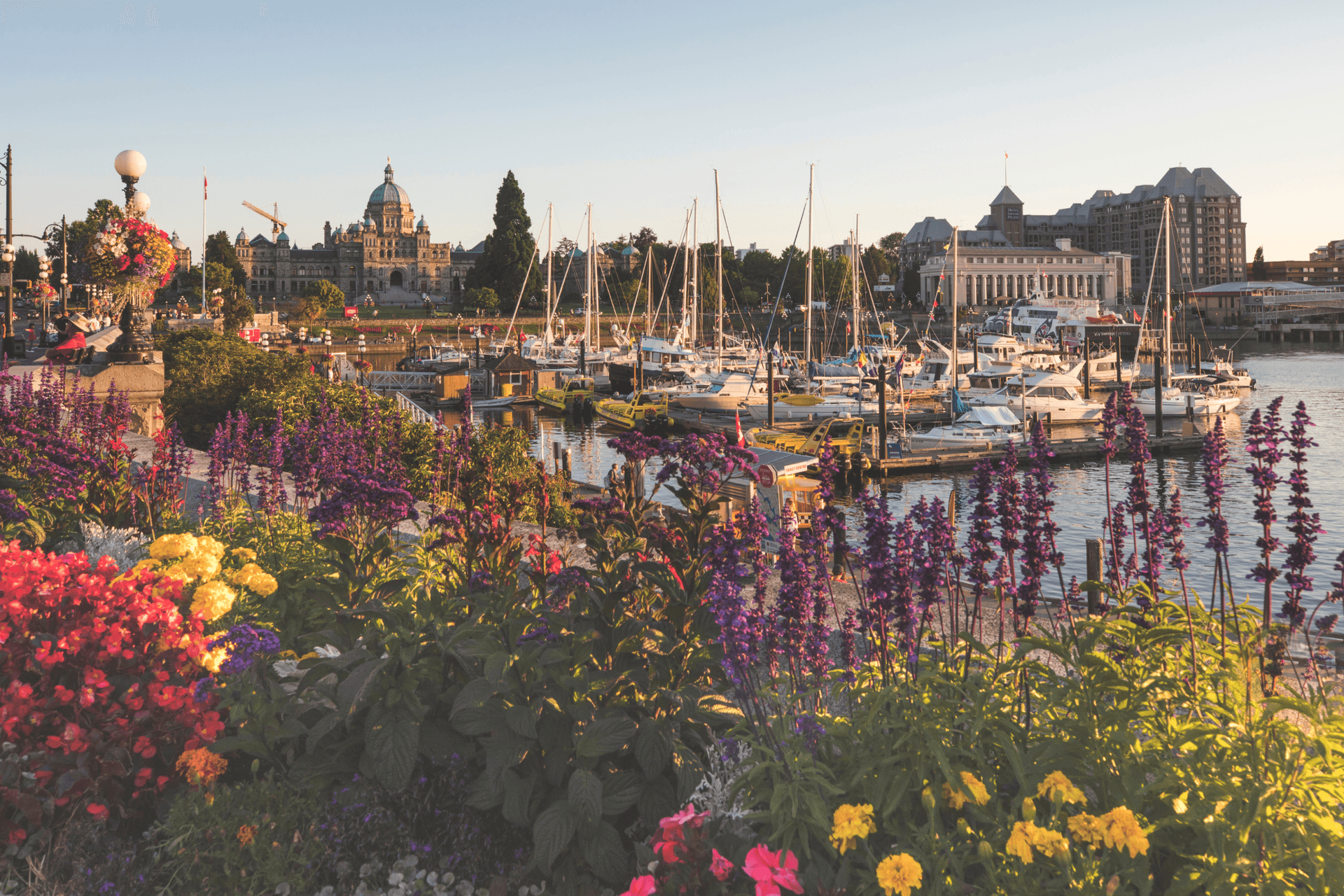 Inner Harbour with Flowers in the Summer