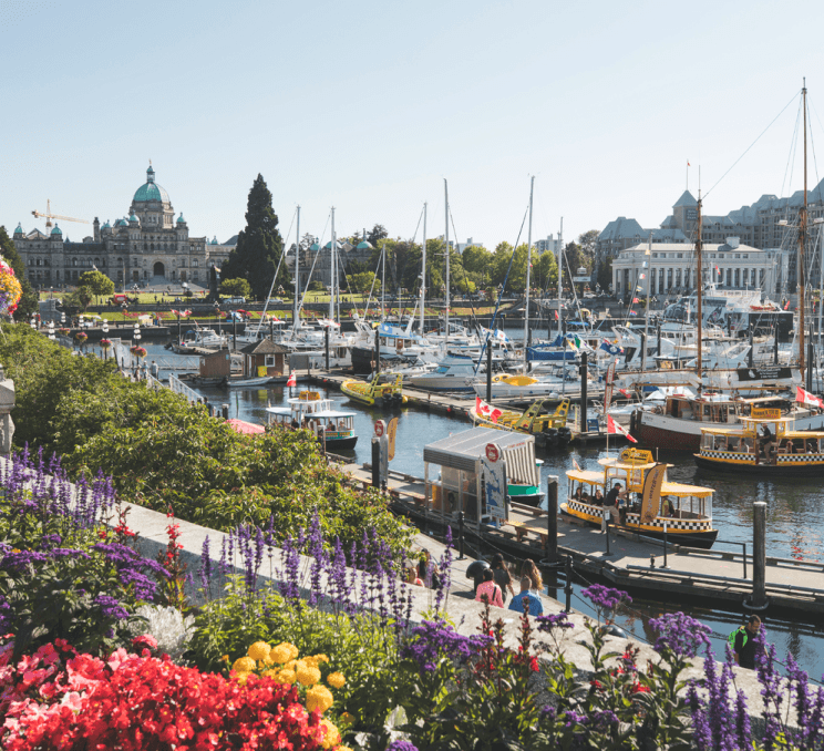 harbour boardwalk with flowers and boats