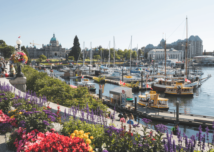 harbour boardwalk with flowers and boats