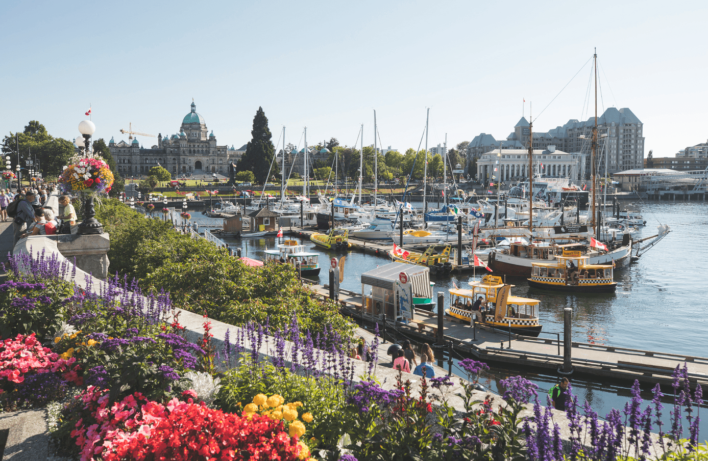 harbour boardwalk with flowers and boats