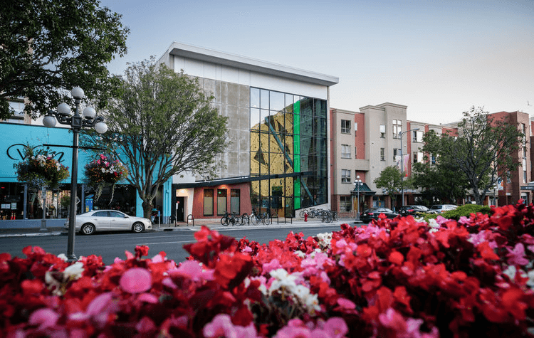 street view of businesses and flowers