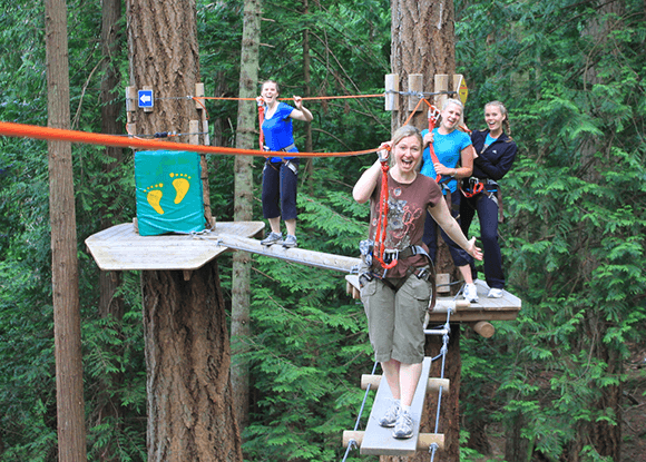 people walking on a tree to tree bridge