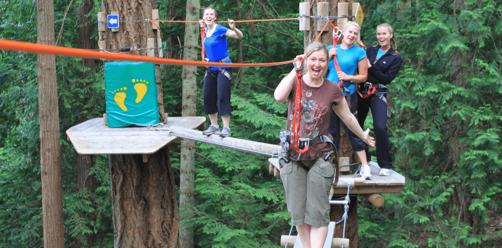 people walking on a tree to tree bridge