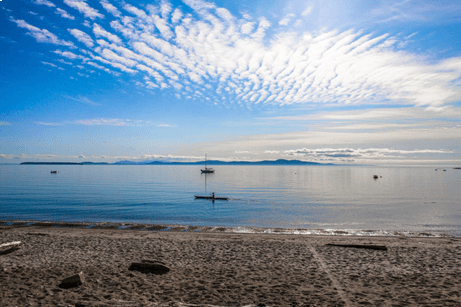 beach with sail boat in the water