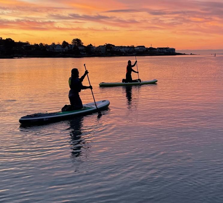 people on paddle boards at sunset