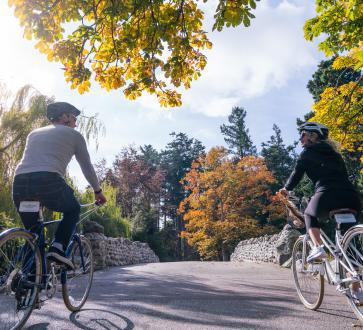 Biking in Beacon Hill