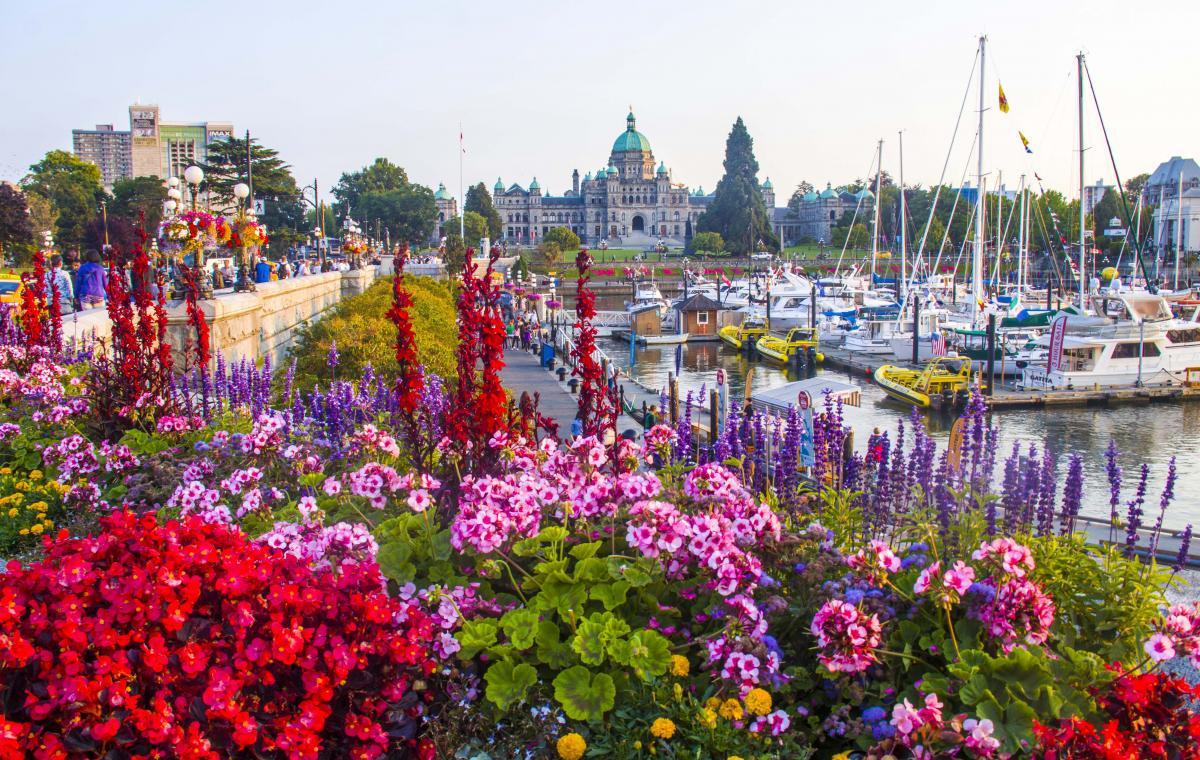 flowers, boats and an old boat