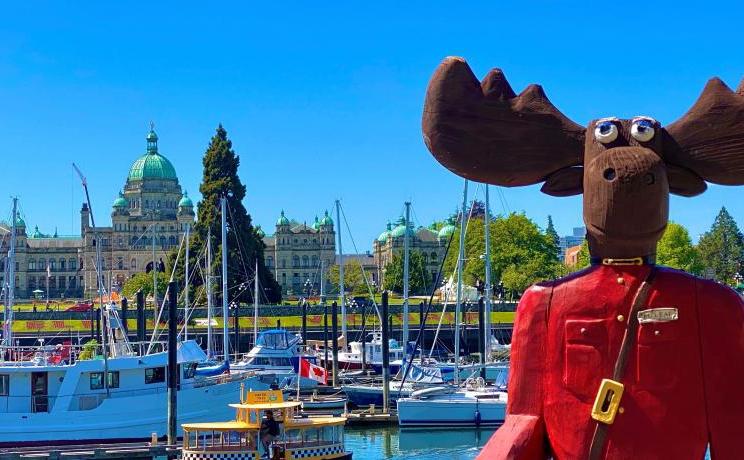 Oceanside Gifts Moose with Parliament Building