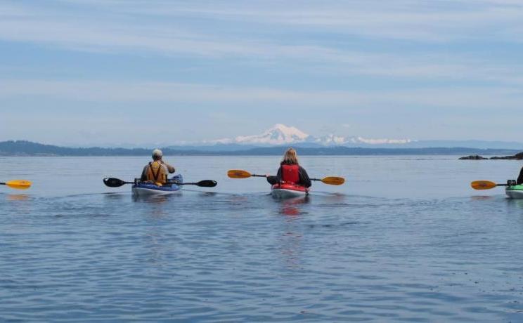 Ocean River Sports: Kayaking