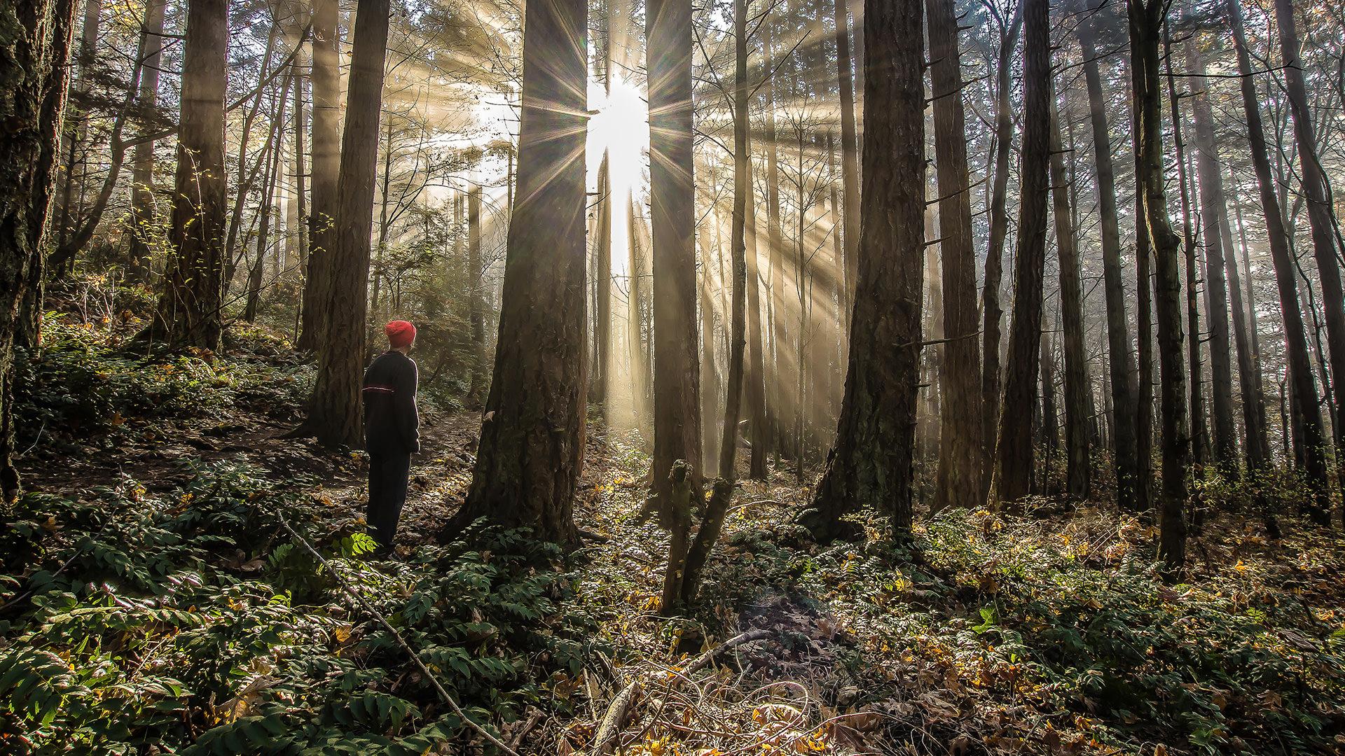 men hiking in Mount Douglas