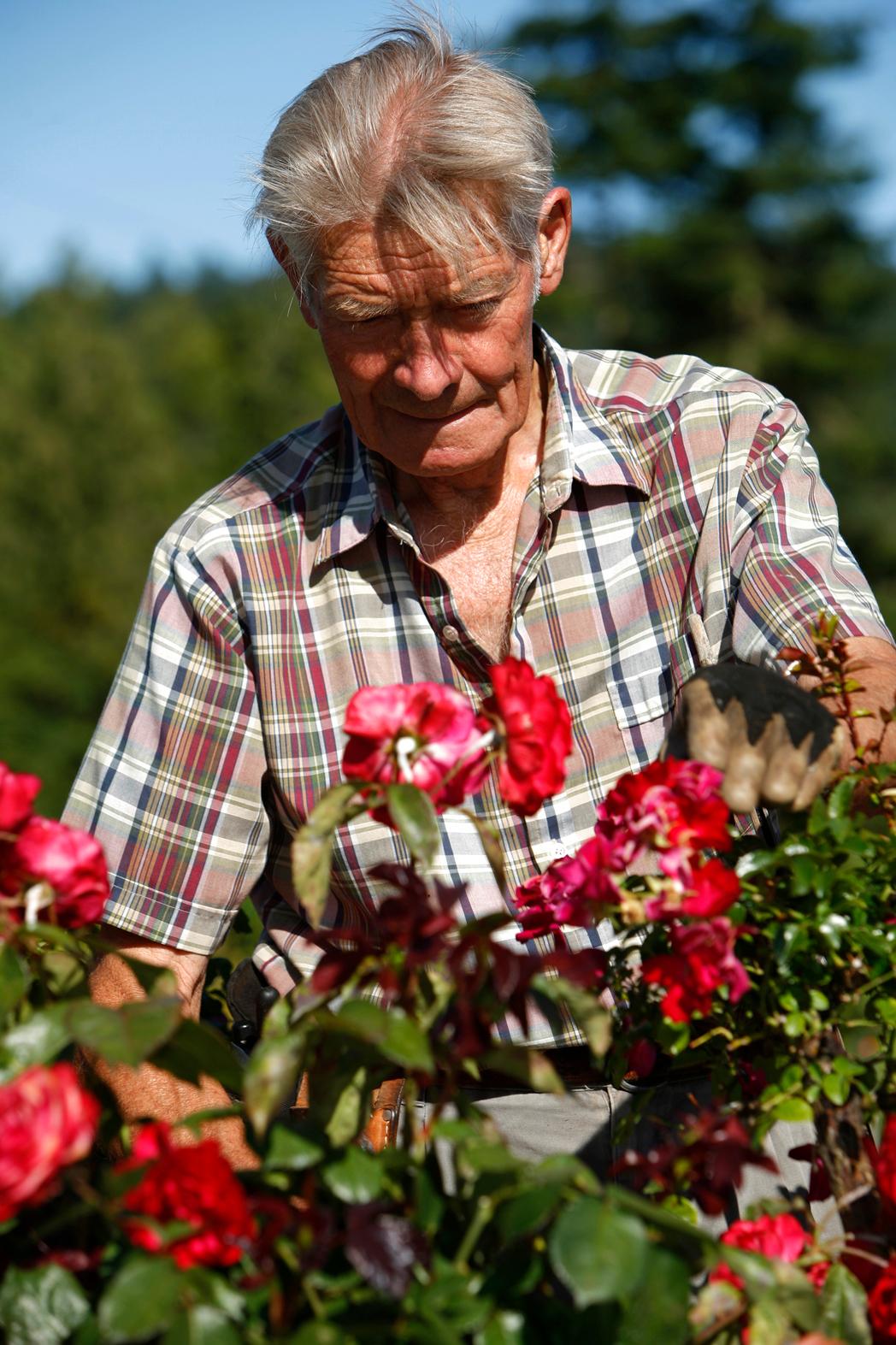 Volunteer activities: Men taking card of roses