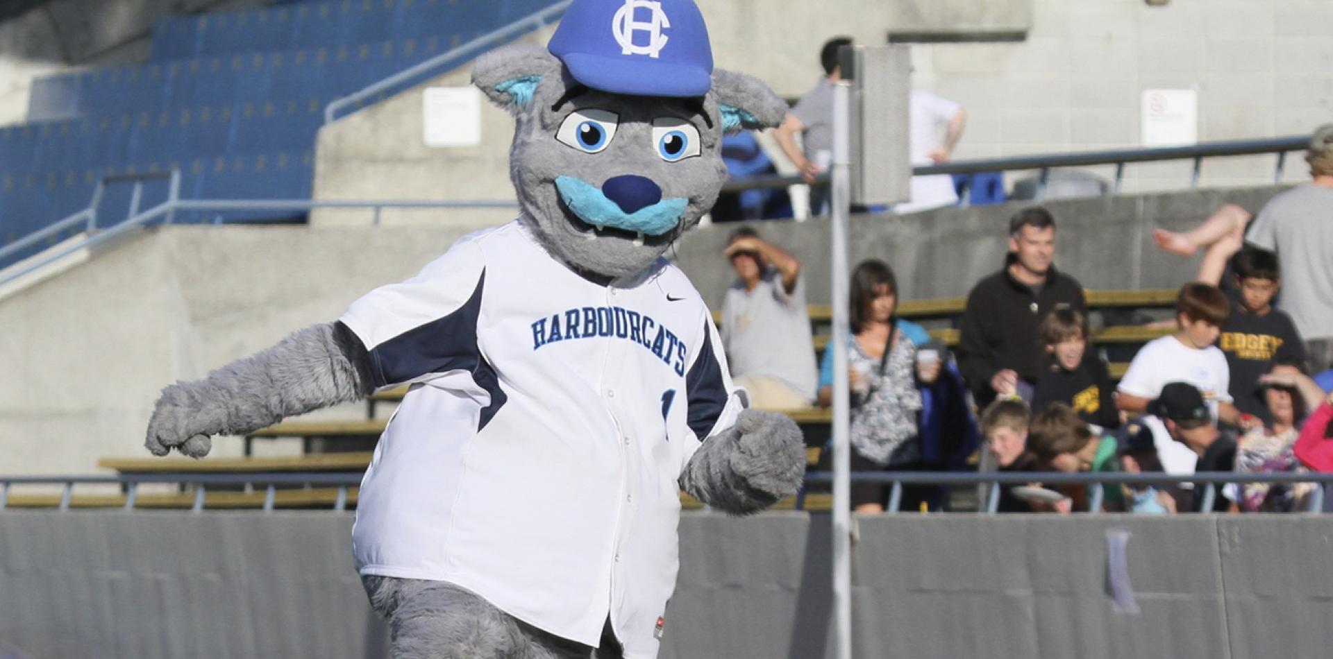 Harbourcats Mascot