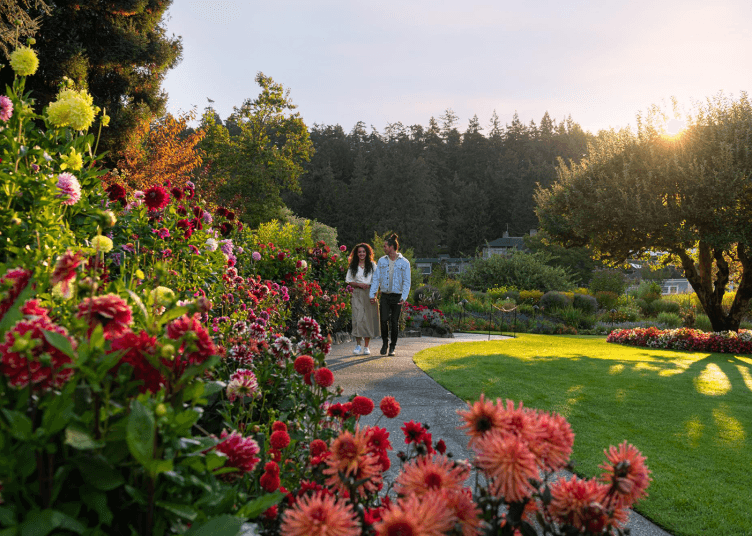 A couple walks through Butchart Gardens in Victoria, BC