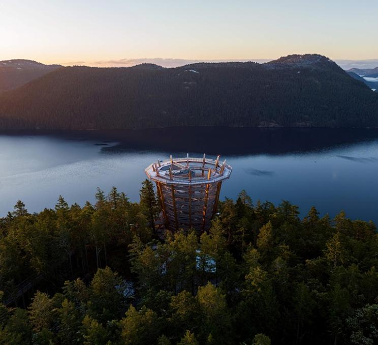 The Malahat SkyWalk overlooks the Finlayson Arm in Victoria, BC