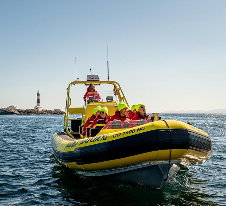 A zodiac tour explores the Race Rocks Lighthouse near Victoria, BC