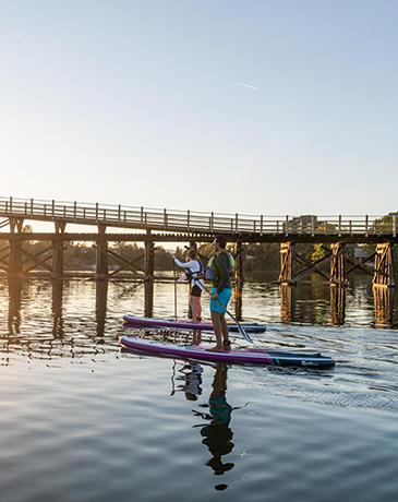 A couple paddleboards along Victoria's Upper Harbour