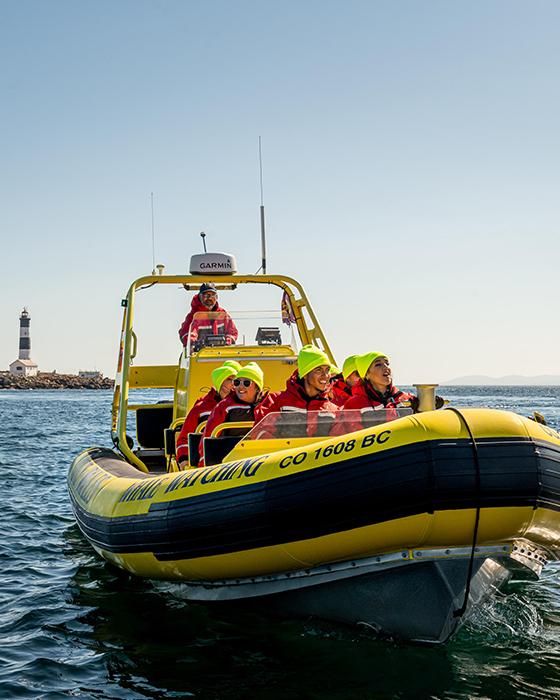 A Prince of Whales Vessel explores the Salish Sea in Victoria, BC