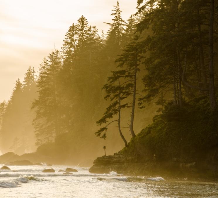 A misty morning along the coastline in Greater Victoria, BC