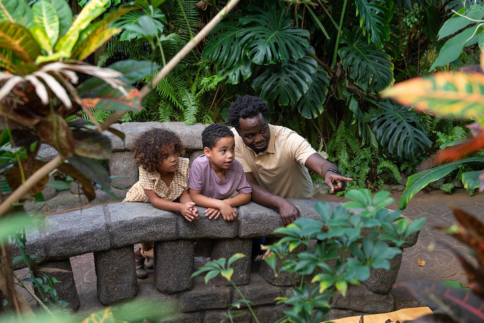 Family on the bridge in the garden