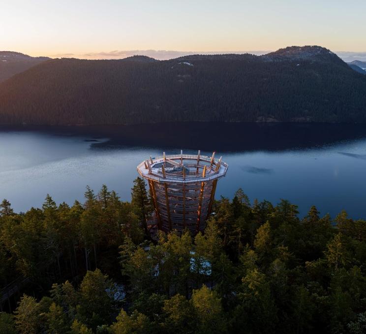 An aerial view of the Malahat SkyWalk at sunrise in Victoria, BC