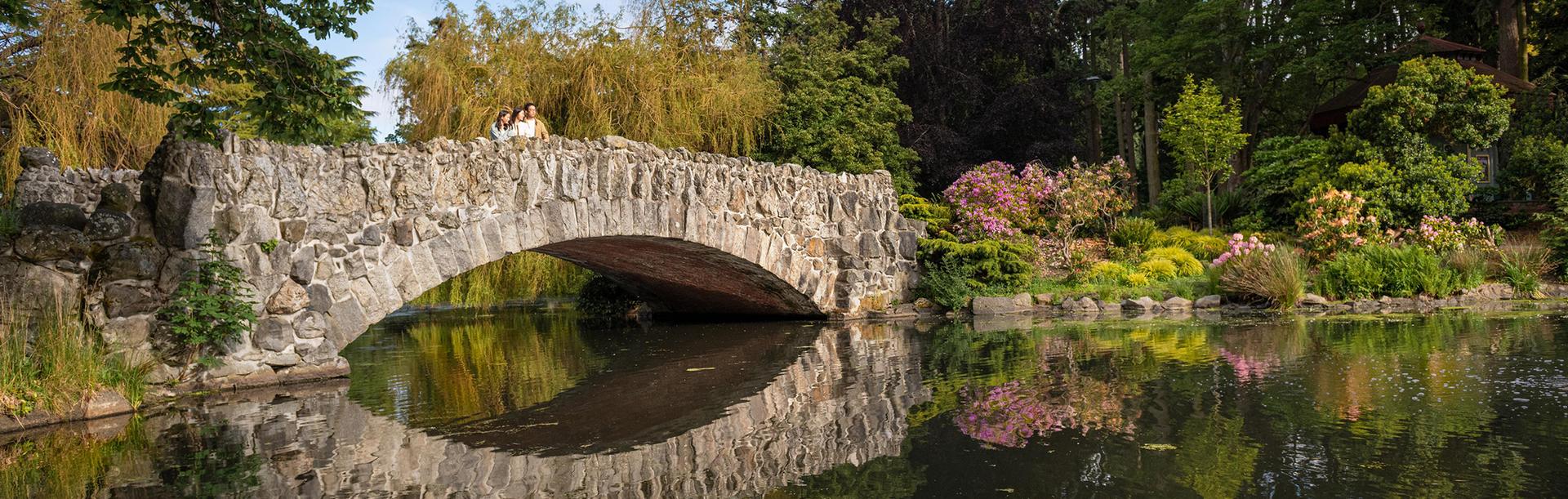 A family looks out from a bridge over a lake in Beacon Hill Park in Victoria, BC